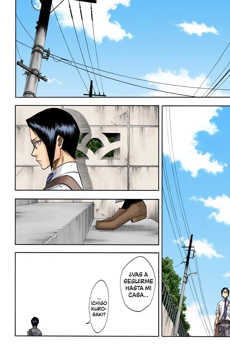 Bleach (Color) capítulo 35, página 19