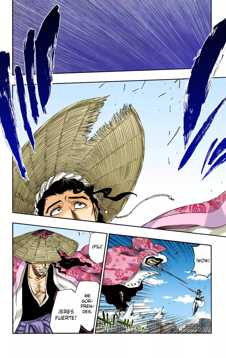 Bleach (Color) capítulo 355, página 4