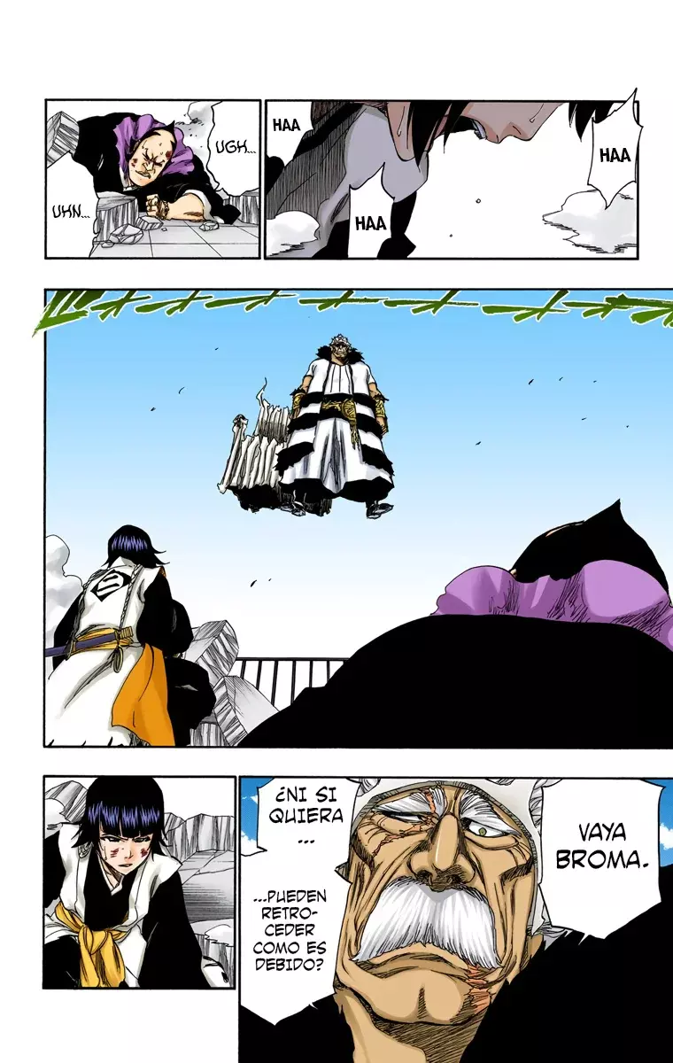 Bleach (Color) capítulo 355, página 8