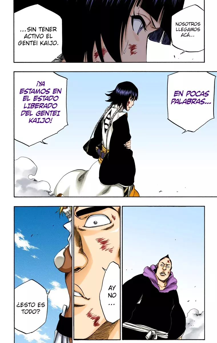 Bleach (Color) capítulo 355, página 12