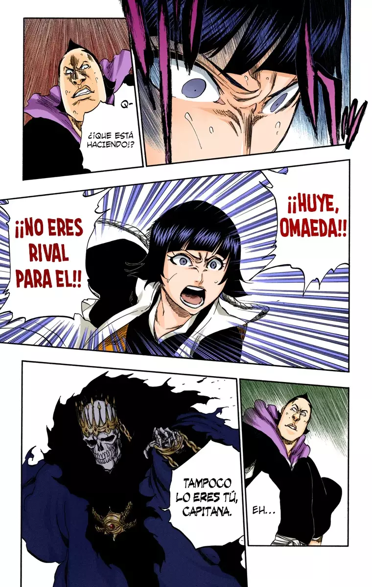 Bleach (Color) capítulo 357, página 7