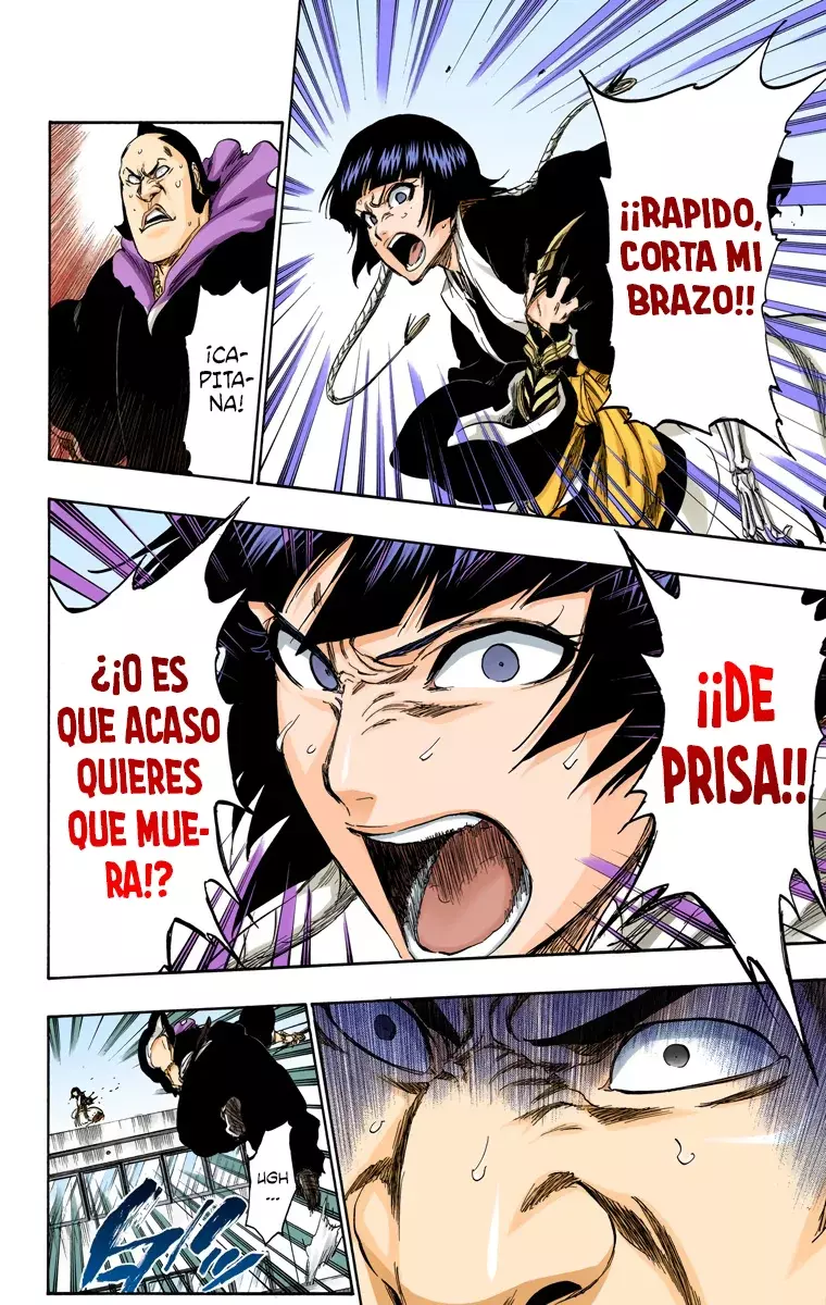 Bleach (Color) capítulo 357, página 12