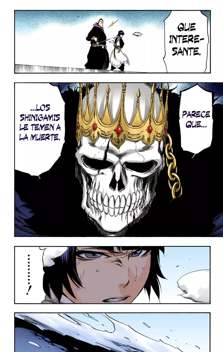 Bleach (Color) capítulo 357, página 14