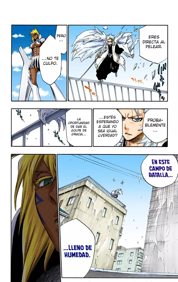 Bleach (Color) capítulo 358, página 17