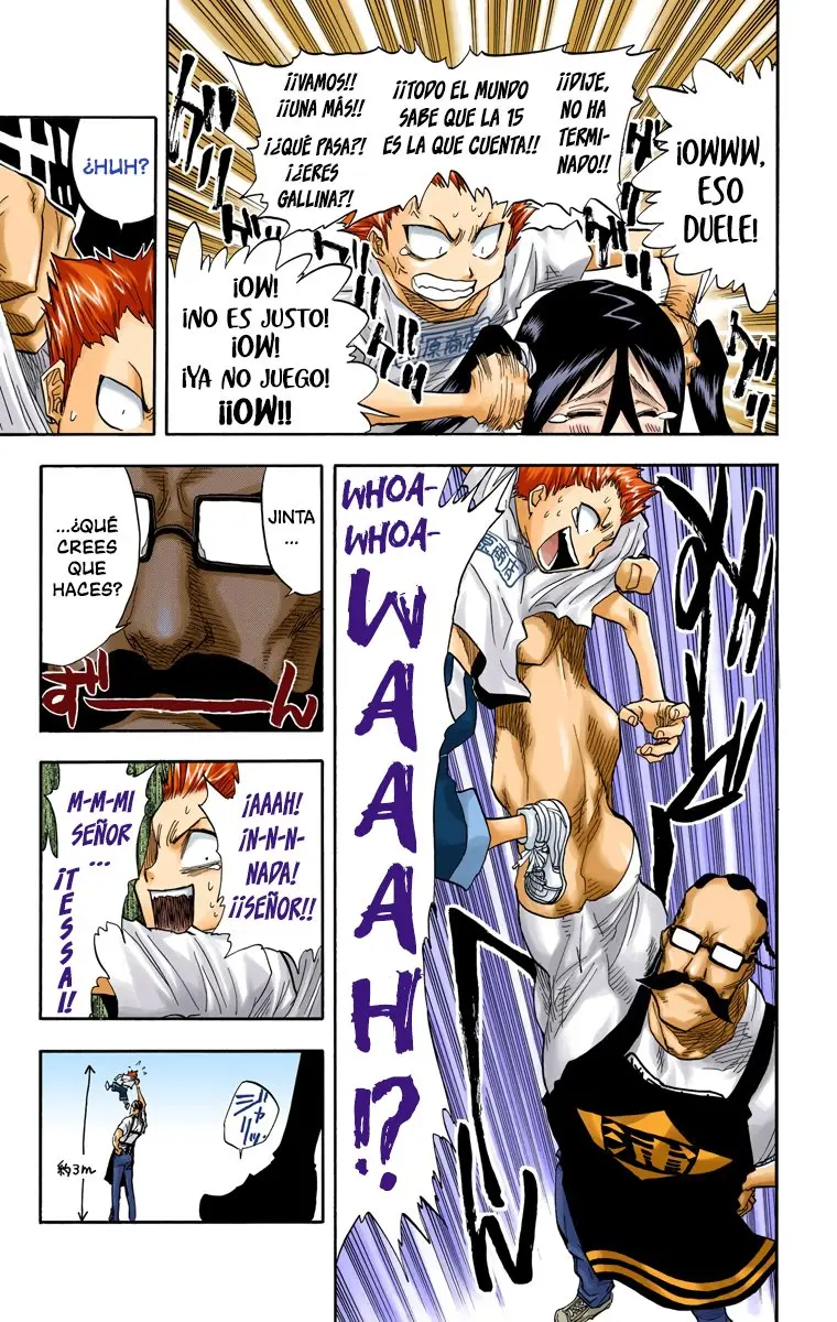 Bleach (Color) capítulo 36, página 6