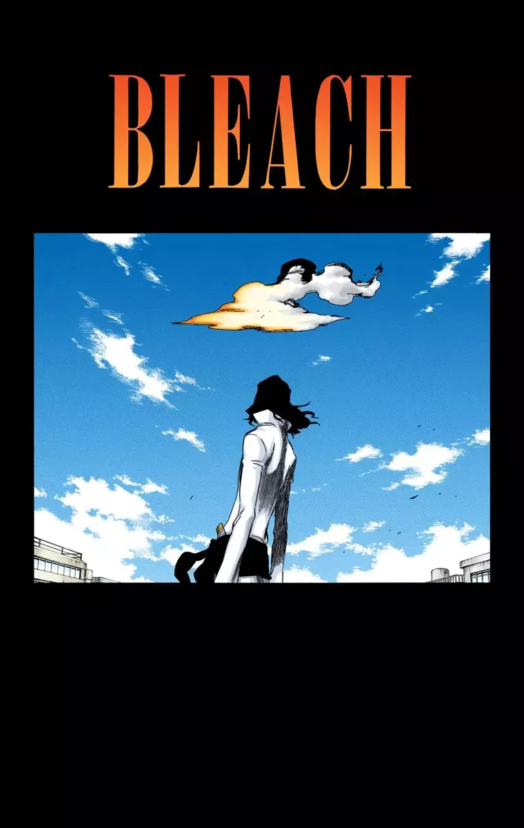 Bleach (Color) capítulo 361, página 9