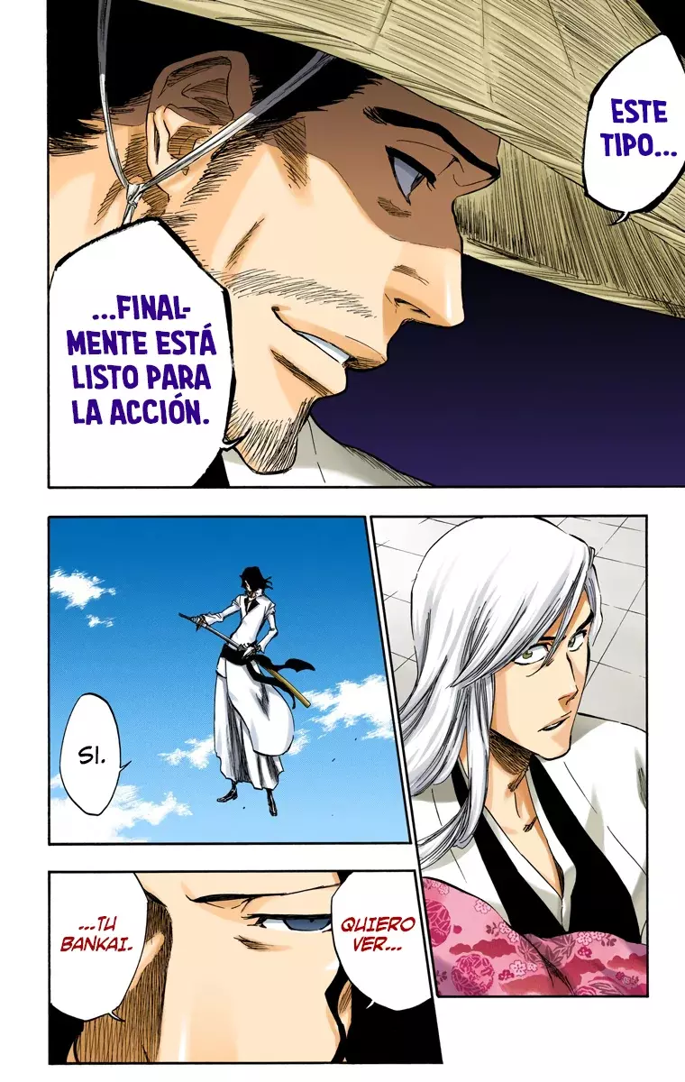 Bleach (Color) capítulo 361, página 13