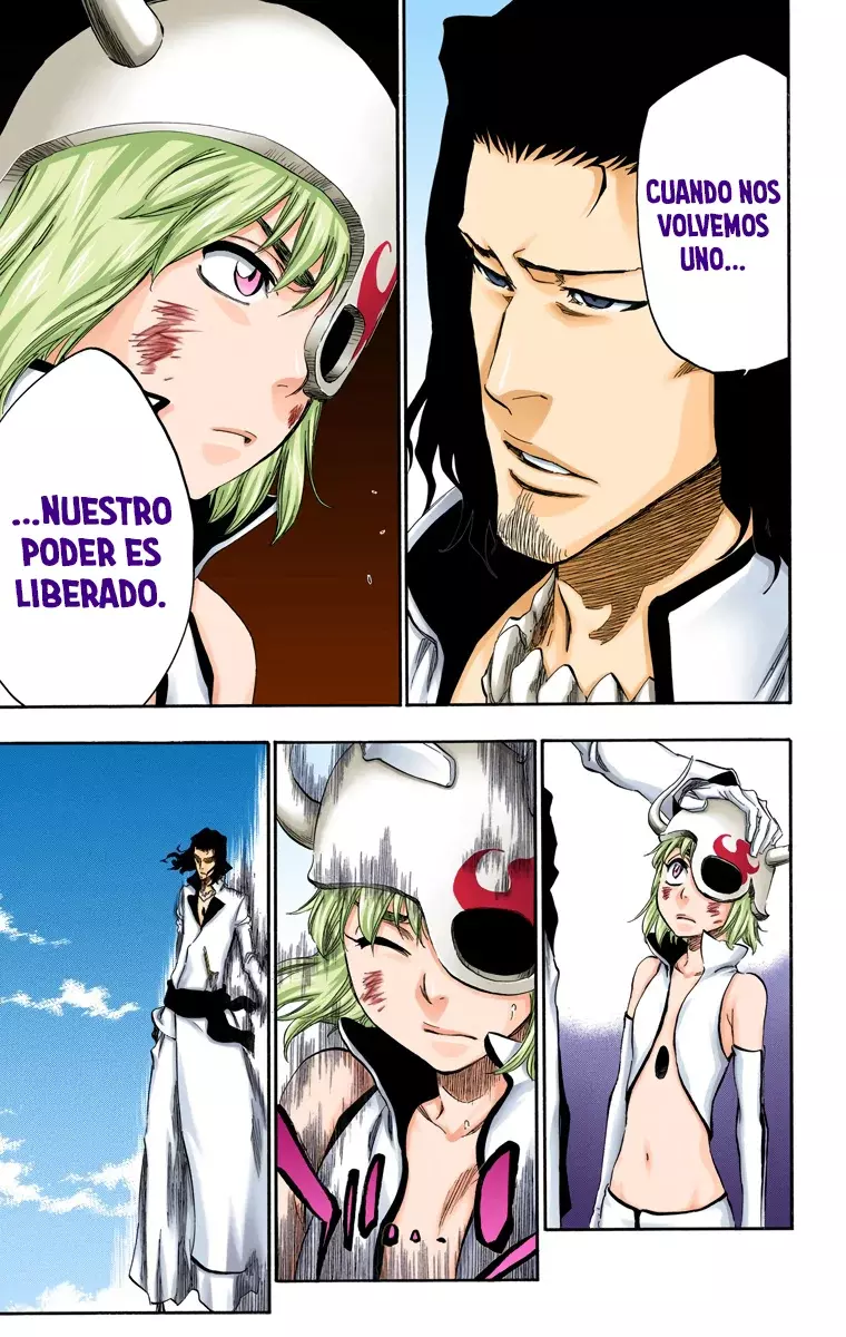 Bleach (Color) capítulo 361, página 16