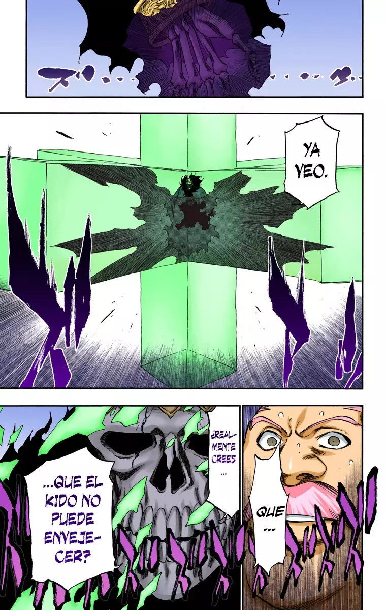 Bleach (Color) capítulo 368, página 24