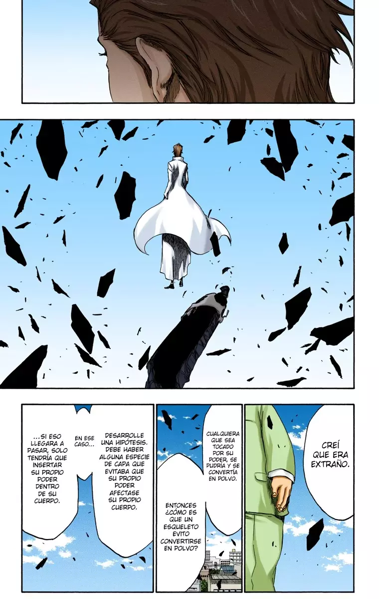 Bleach (Color) capítulo 371, página 17