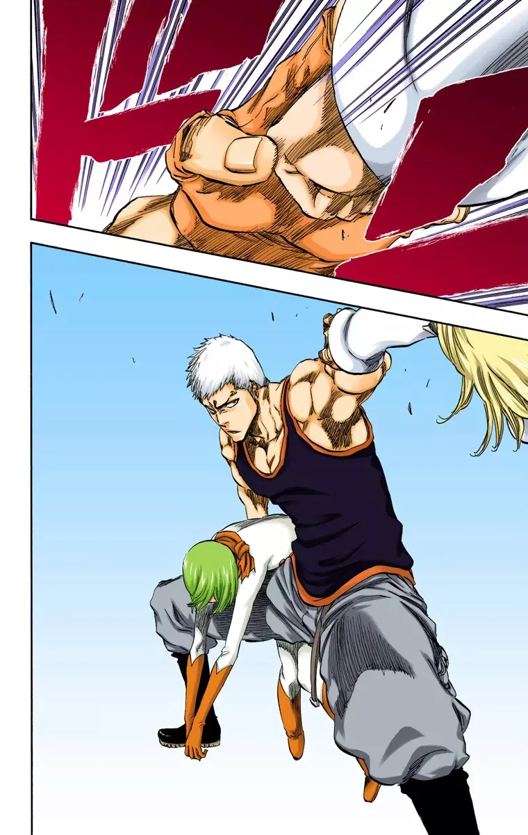 Bleach (Color) capítulo 376, página 18