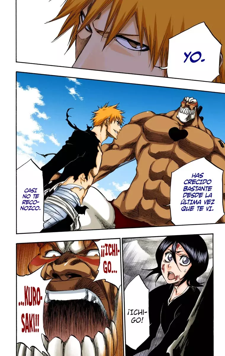 Bleach (Color) capítulo 378, página 14