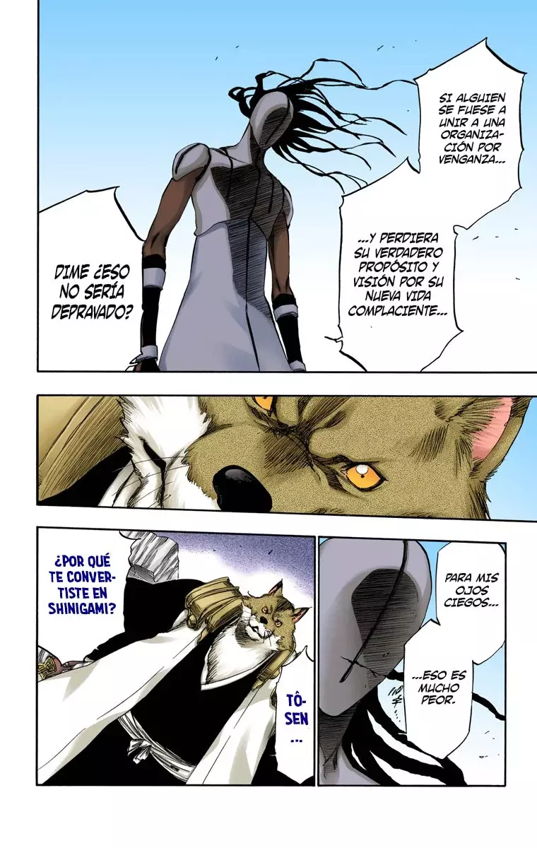 Bleach (Color) capítulo 385, página 13