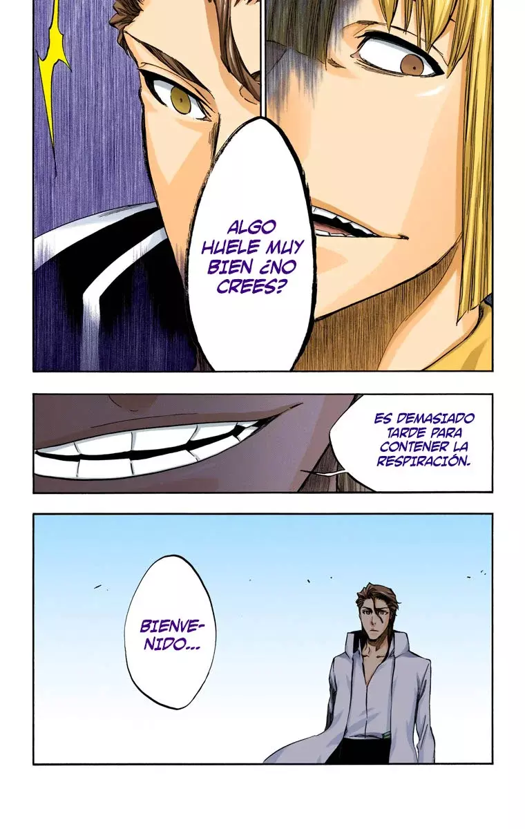 Bleach (Color) capítulo 387, página 11