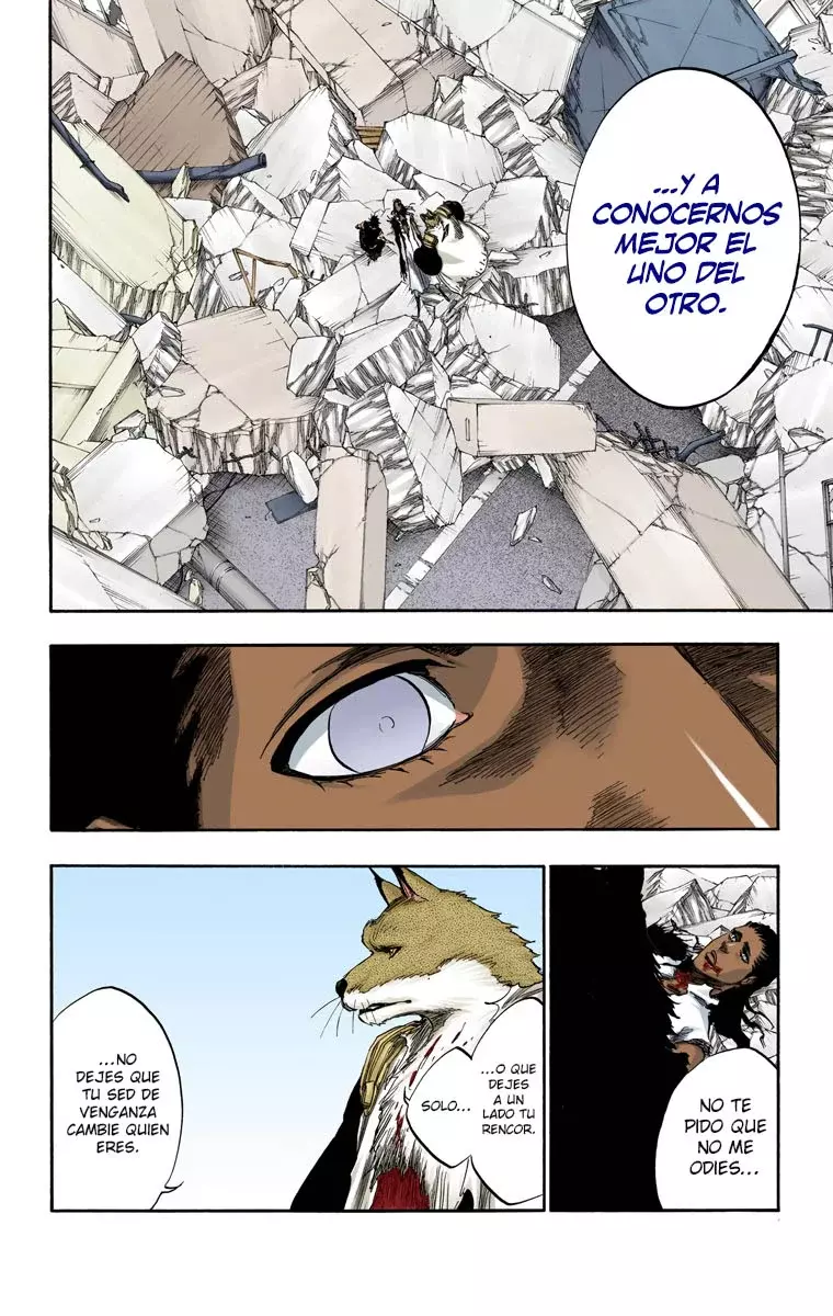 Bleach (Color) capítulo 387, página 22