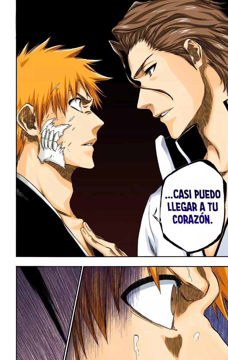 Bleach (Color) capítulo 388, página 15
