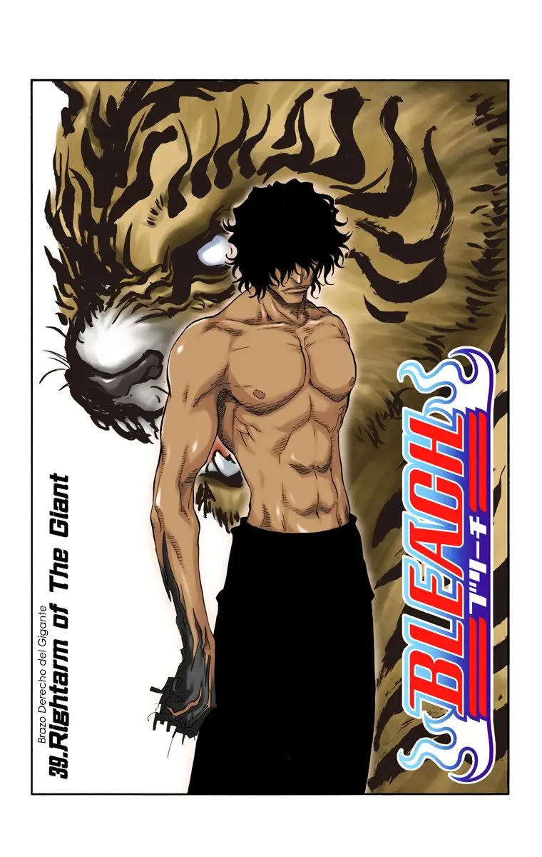 Bleach (Color) capítulo 39, página 3