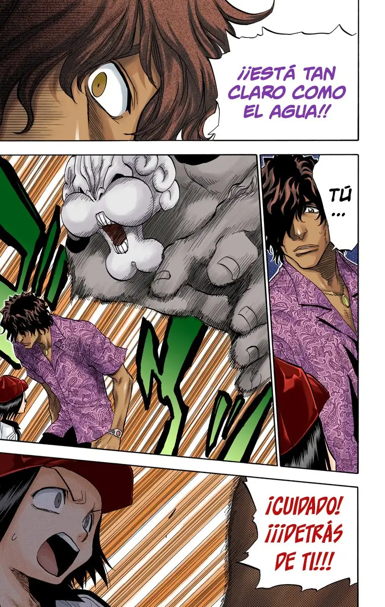 Bleach (Color) capítulo 39, página 6