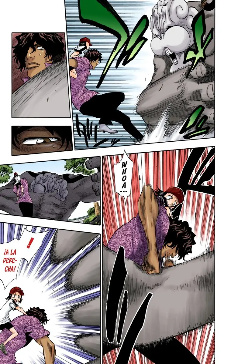 Bleach (Color) capítulo 39, página 10