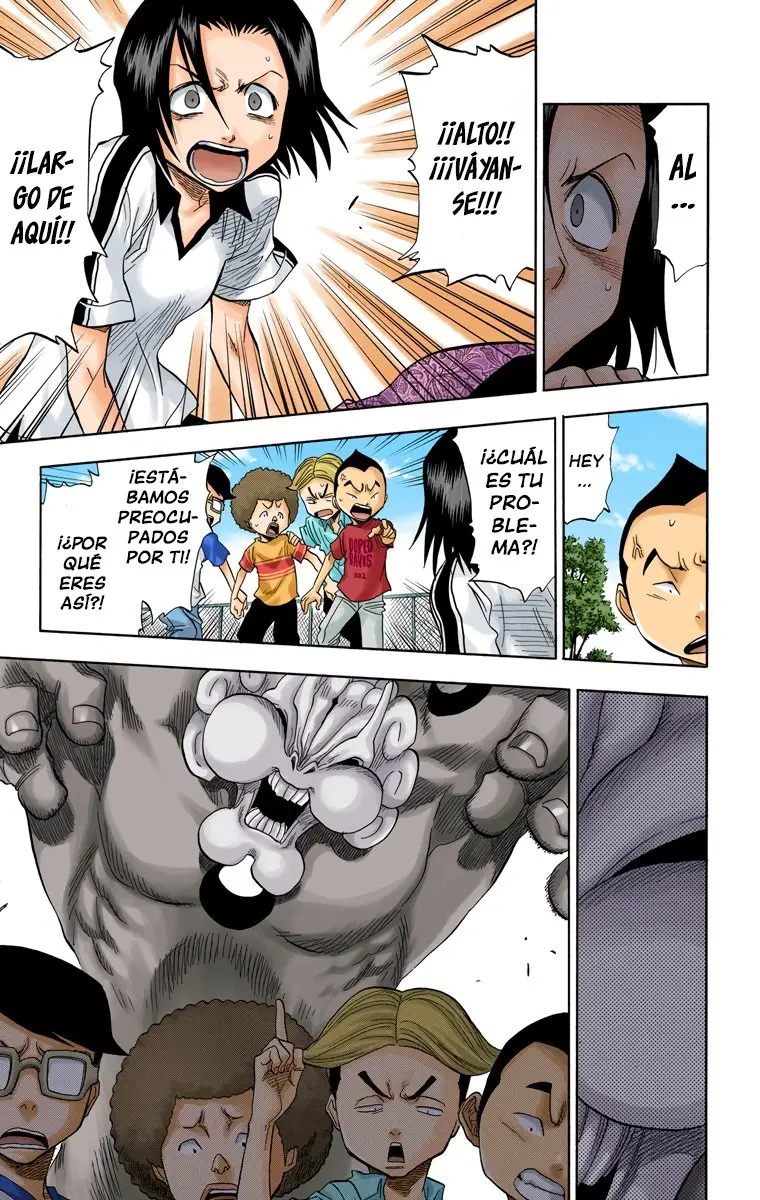 Bleach (Color) capítulo 39, página 12