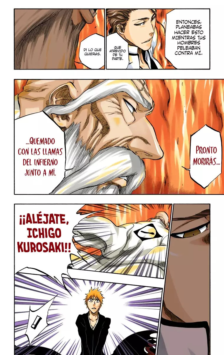 Bleach (Color) capítulo 393, página 14