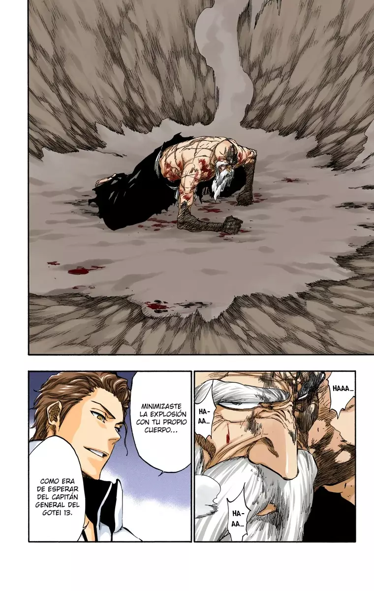 Bleach (Color) capítulo 395, página 13