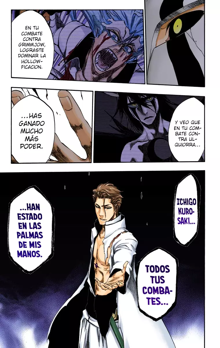 Bleach (Color) capítulo 396, página 25