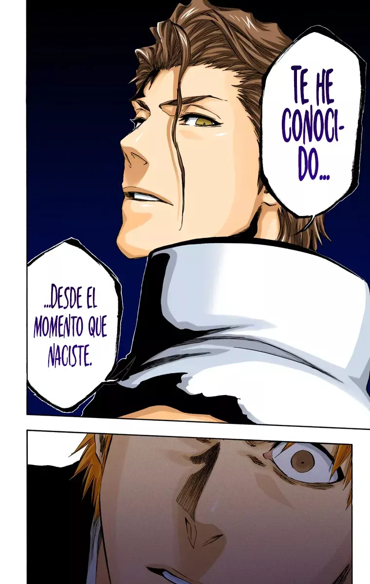 Bleach (Color) capítulo 397, página 16