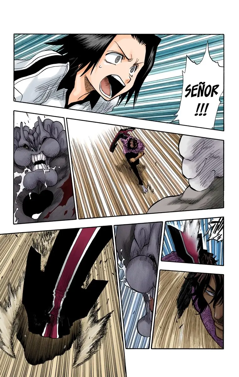 Bleach (Color) capítulo 40, página 8