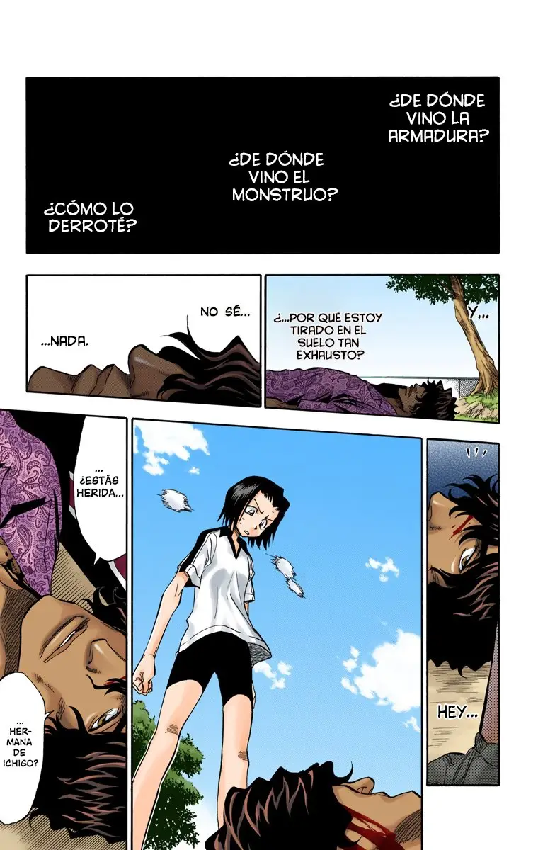 Bleach (Color) capítulo 40, página 13