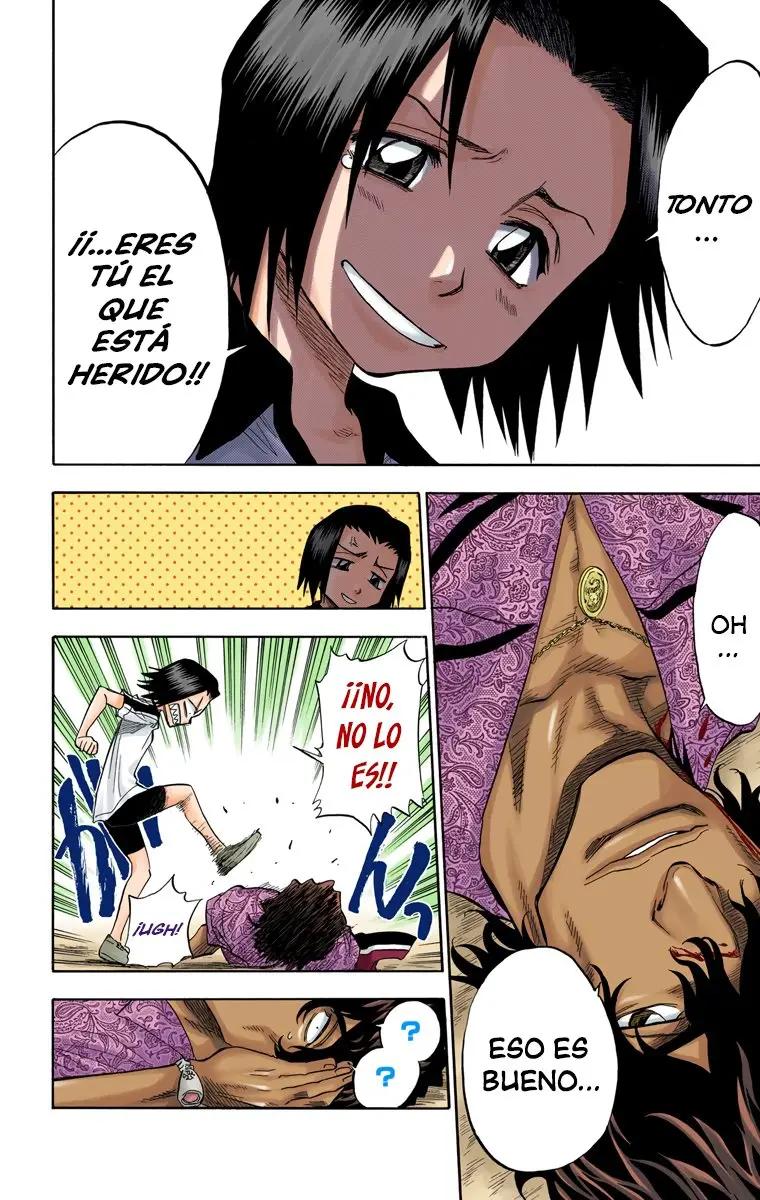 Bleach (Color) capítulo 40, página 14