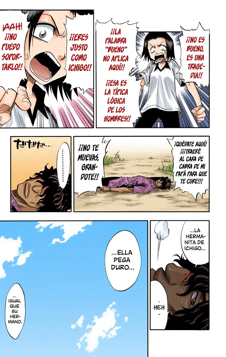 Bleach (Color) capítulo 40, página 15