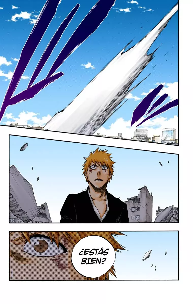 Bleach (Color) capítulo 404, página 10