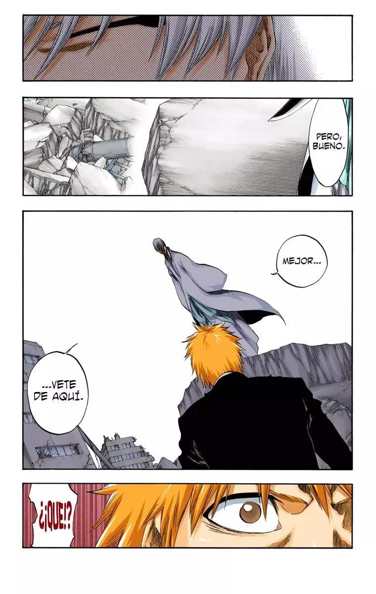 Bleach (Color) capítulo 405, página 10