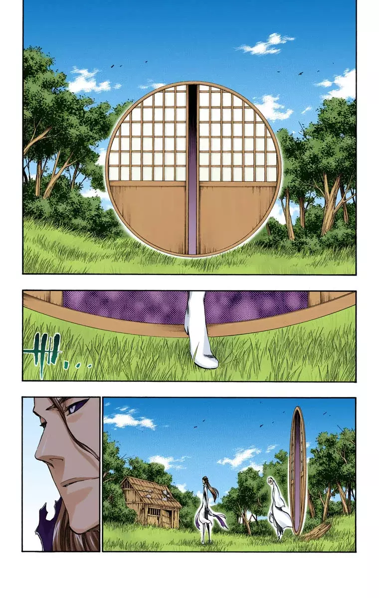 Bleach (Color) capítulo 407, página 14