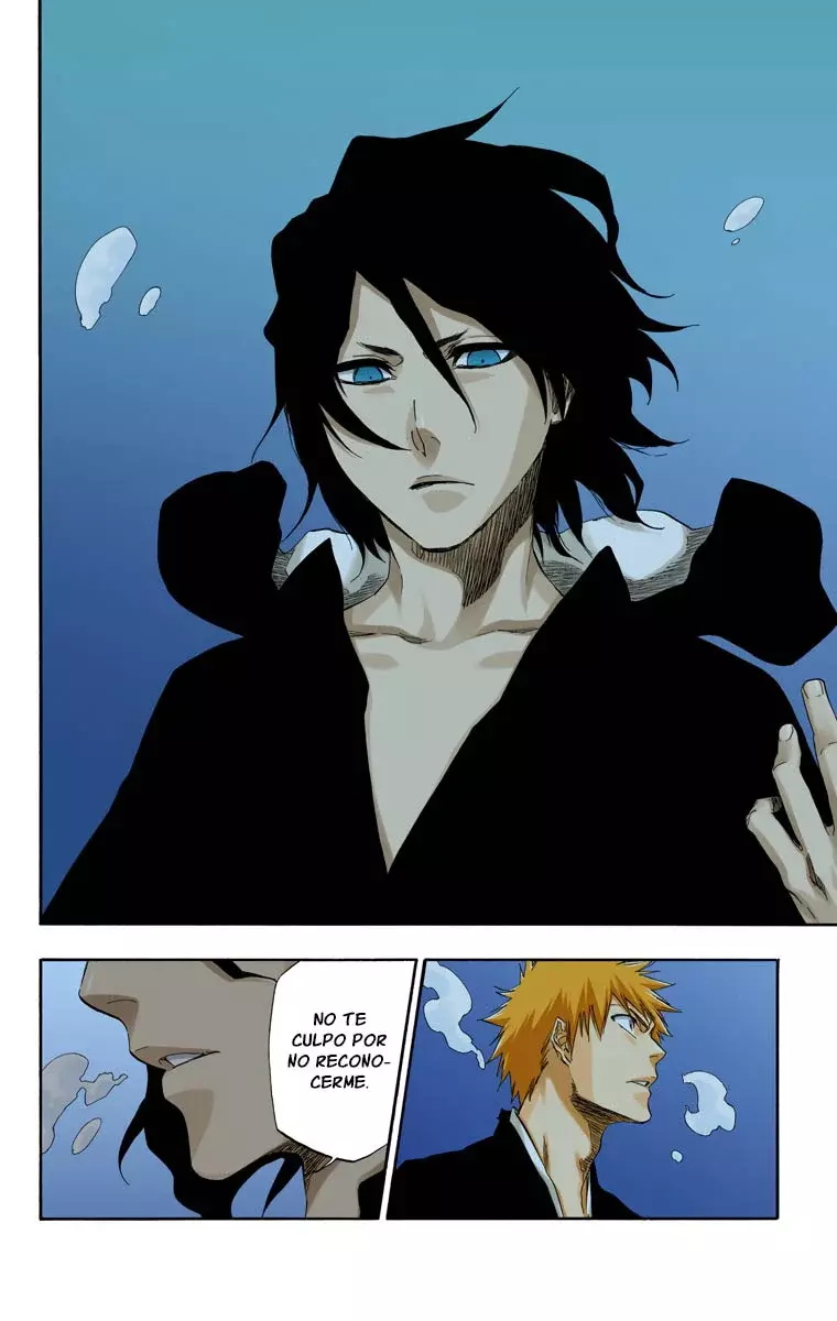 Bleach (Color) capítulo 409, página 10