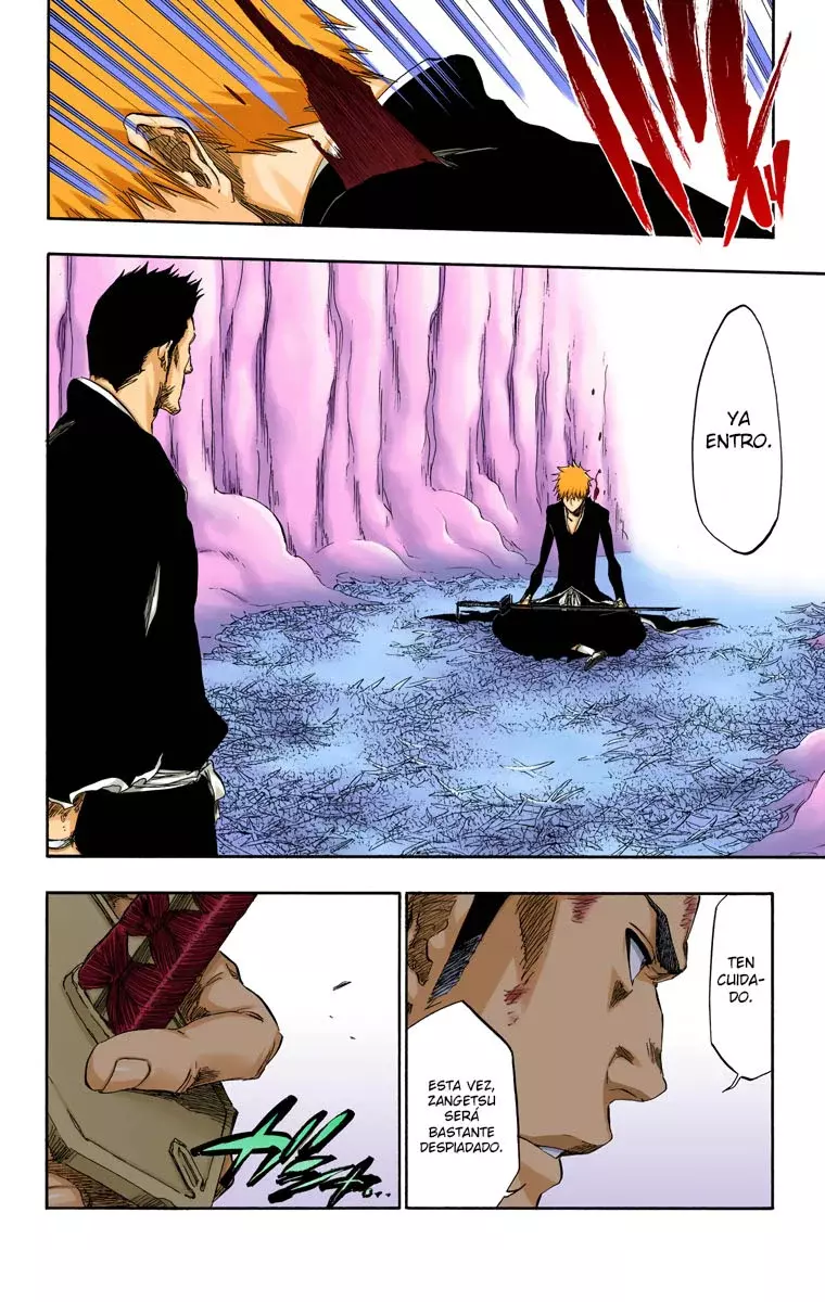 Bleach (Color) capítulo 409, página 14