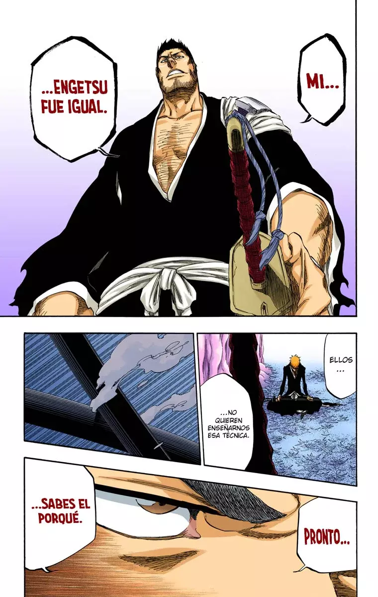 Bleach (Color) capítulo 409, página 15
