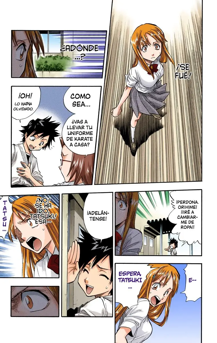 Bleach (Color) capítulo 41, página 8