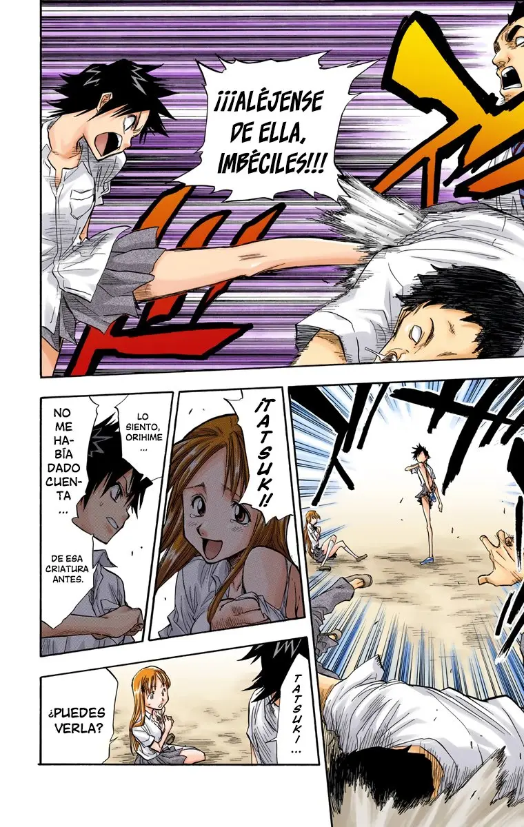 Bleach (Color) capítulo 41, página 19