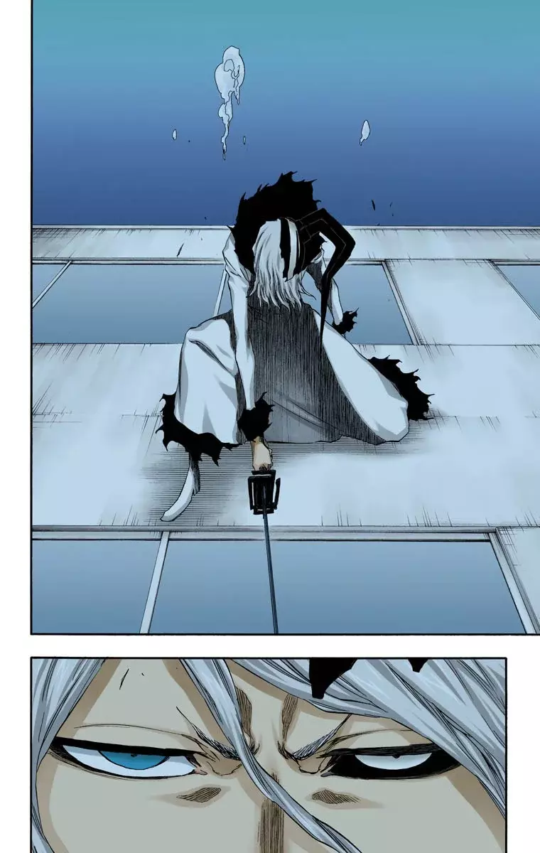 Bleach (Color) capítulo 411, página 9