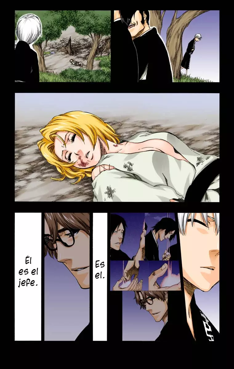Bleach (Color) capítulo 415, página 18
