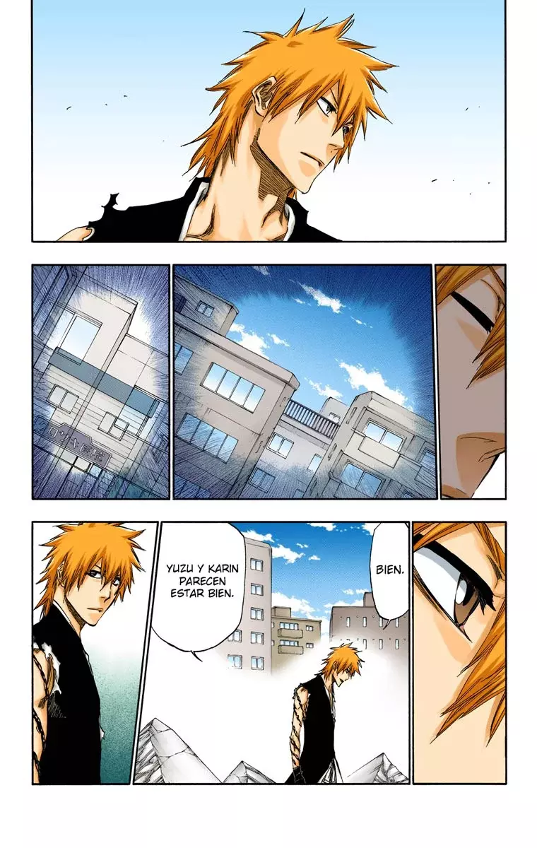 Bleach (Color) capítulo 417, página 5