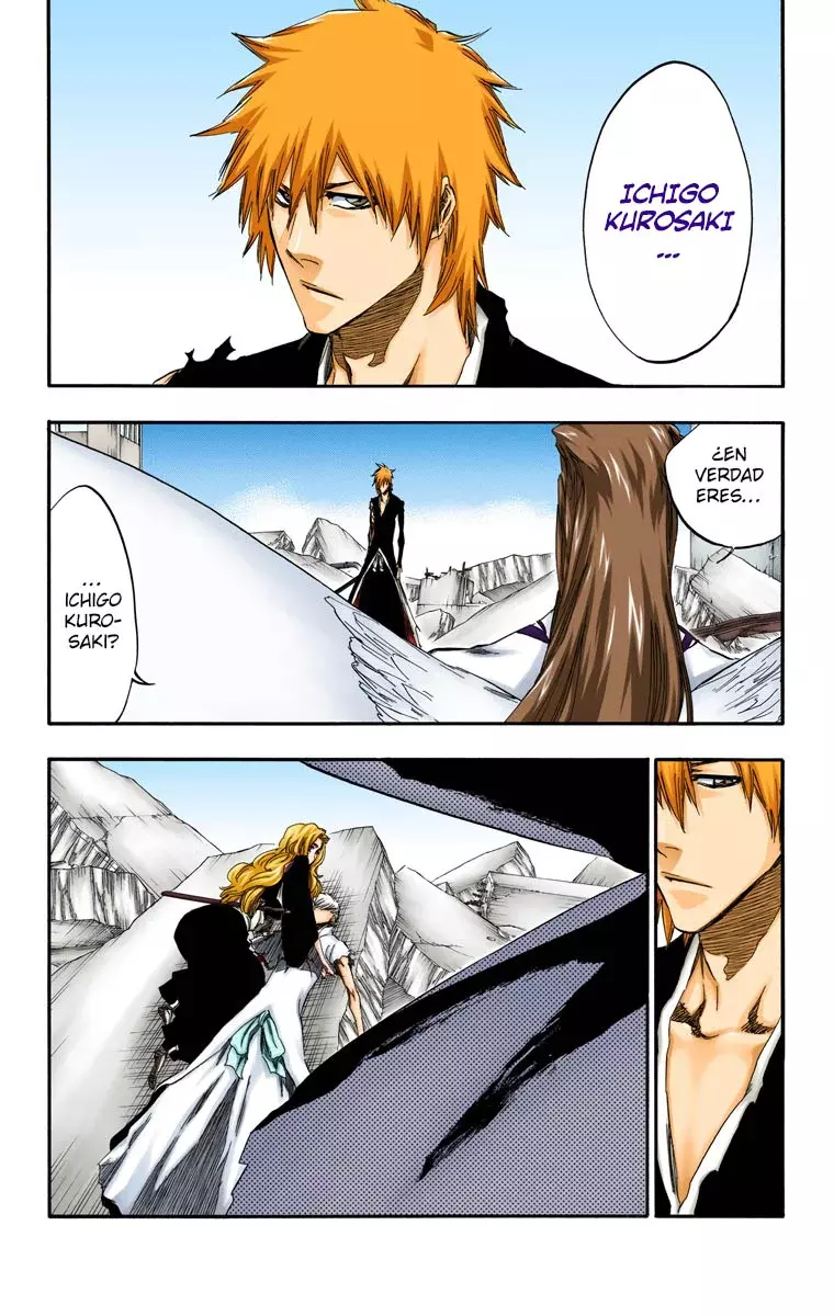 Bleach (Color) capítulo 417, página 9