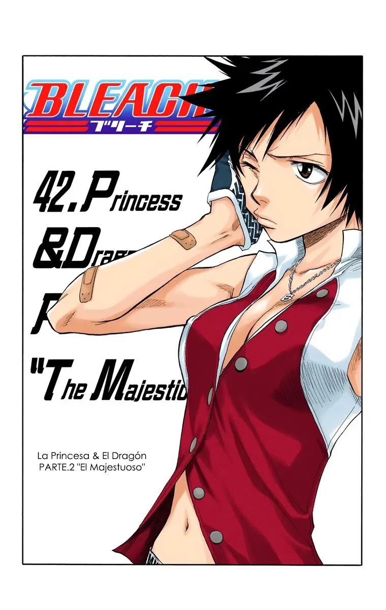Bleach (Color) capítulo 42, página 7