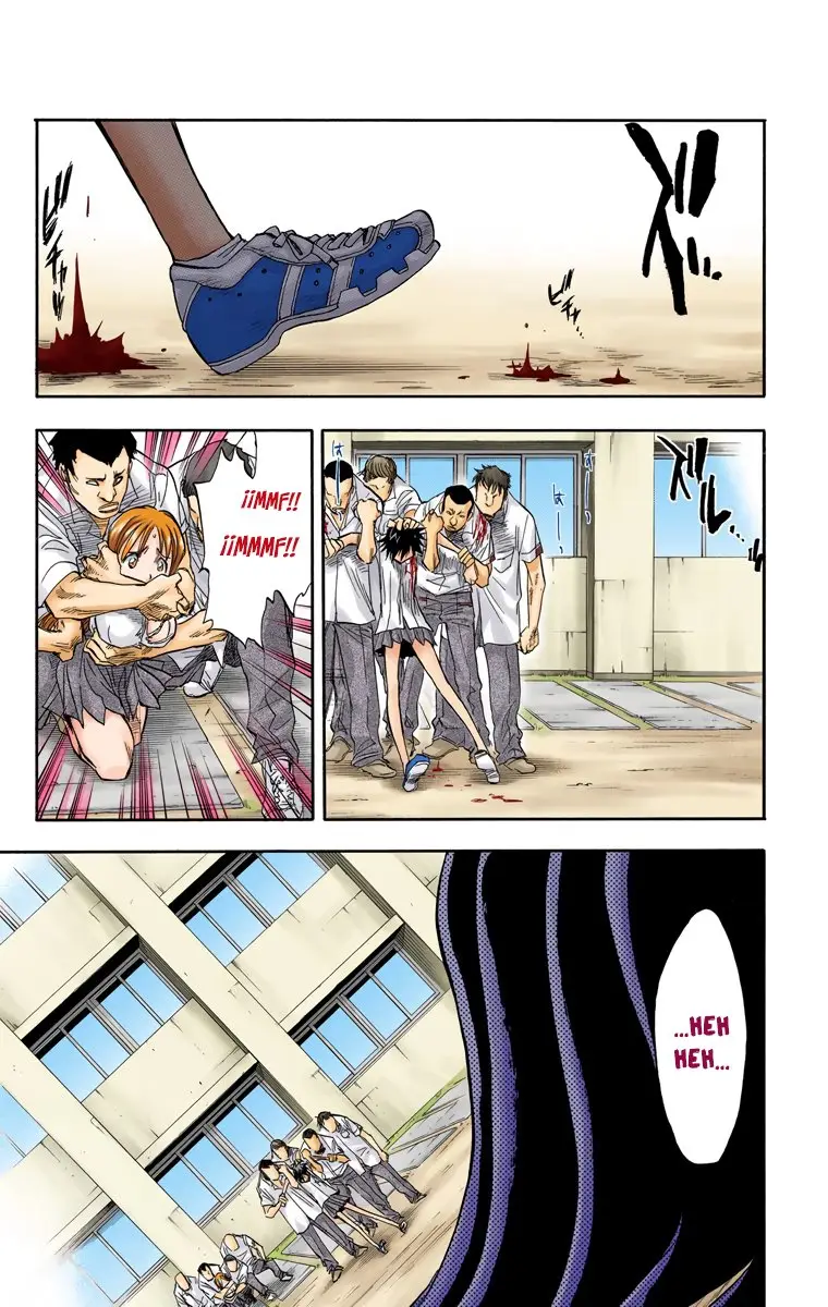 Bleach (Color) capítulo 42, página 8