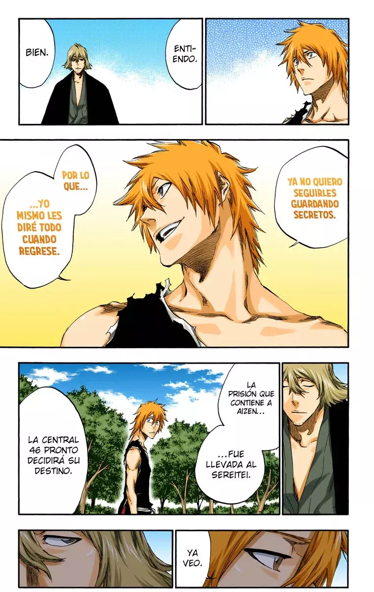 Bleach (Color) capítulo 422, página 12