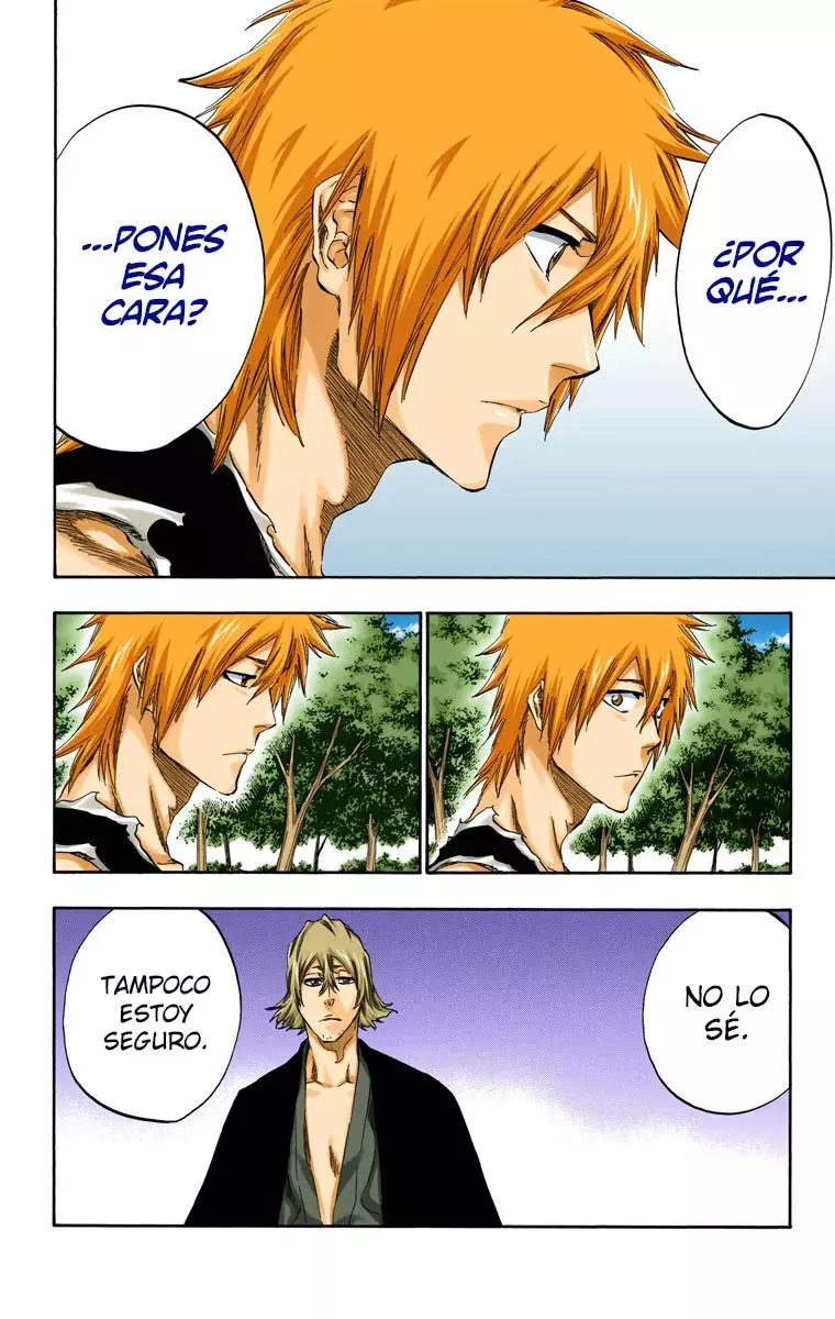 Bleach (Color) capítulo 422, página 13