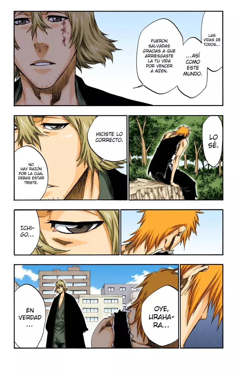 Bleach (Color) capítulo 422, página 14