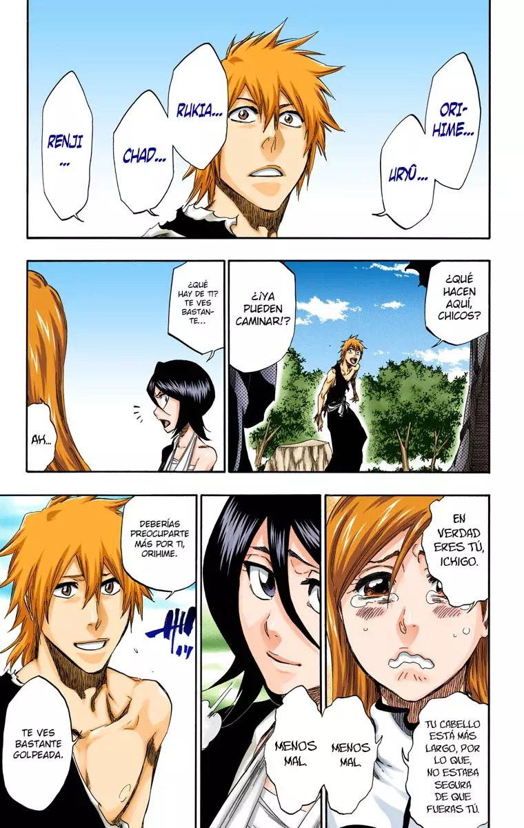 Bleach (Color) capítulo 422, página 18